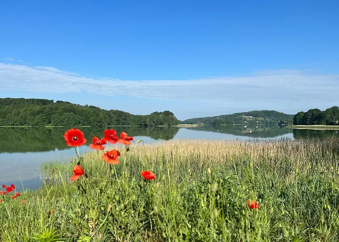 Weekend House W Lesie, Na Kaszubach * Rybaki (Kartuzy)